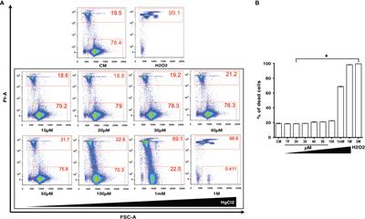 Mercury increases IL-1β and IL-18 secretion and intensifies coronary arteritis in an animal model of Kawasaki disease